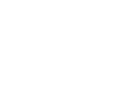 24 squadre