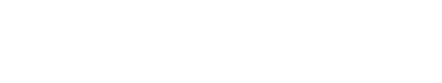 I formati pi impattanti e i grandi volumi della tv lineare La profilazione dei dati del digital Moduli a presidio de...