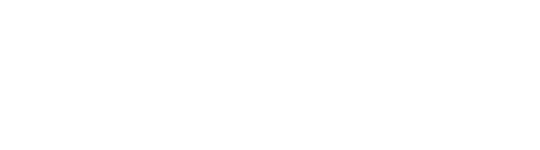Erling Haaland Attaccante | Manchester City