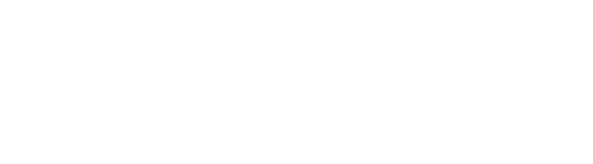 Federico Dimarco Centrocampista | Inter 