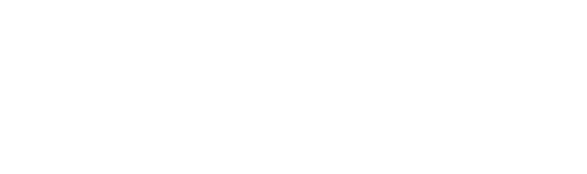 diretta dei match collegamenti pre partita interviste a bordo campo commento e analisi degli esperti 