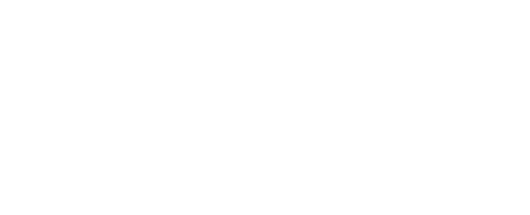 diretta dei match collegamenti pre partita interviste a bordo campo commento e analisi degli esperti 