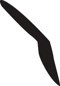 Polygon