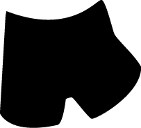 Polygon