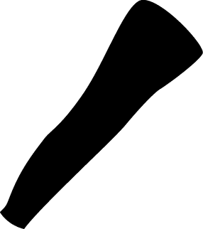 Polygon