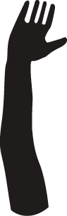 Polygon