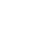 spot video