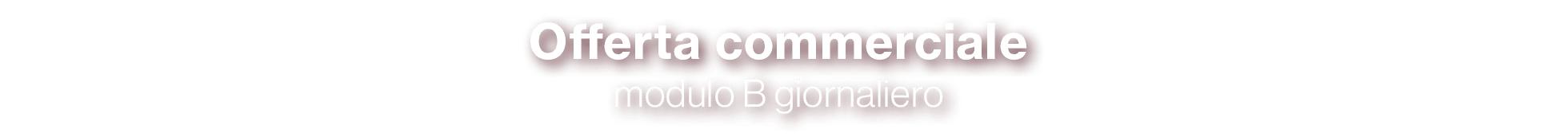 Offerta commerciale modulo B giornaliero