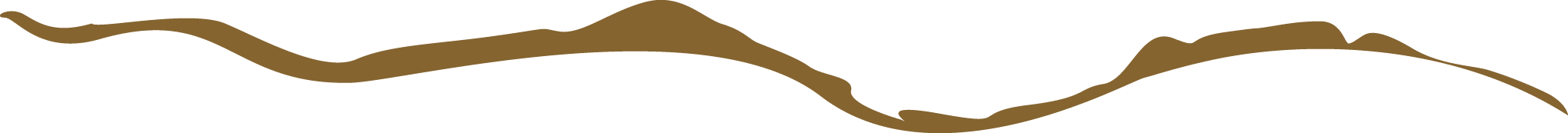 Polygon