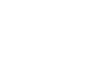 Maglia Rosa Dal 1931 indossata del vincitore, divenuta icona mondiale