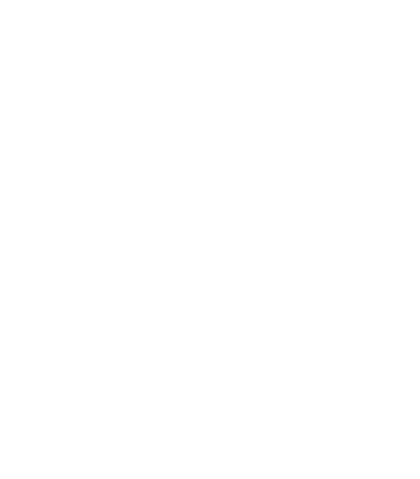 Italia-Francia 9 luglio 2006 ascolto medio 23 935 000 share% 84