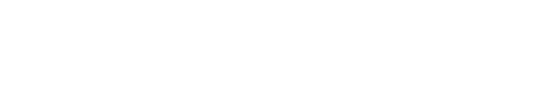 Lionel Messi Attaccante   Capitano