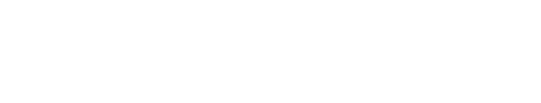 Lautaro Martinez Attaccante