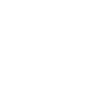 116 dinamico
