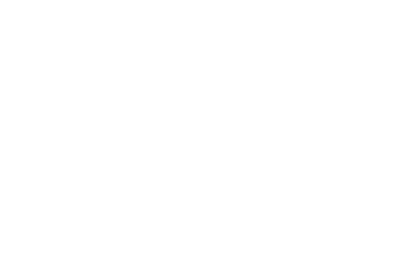 84% spettatori