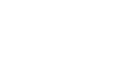 55% spettatori