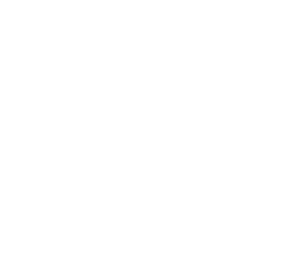 8% l'ha usata per seguire il Festival