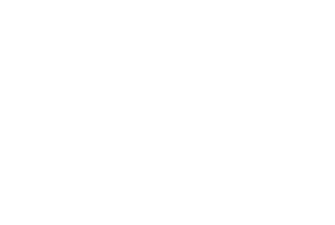 96% fanno sentire parte del Festival
