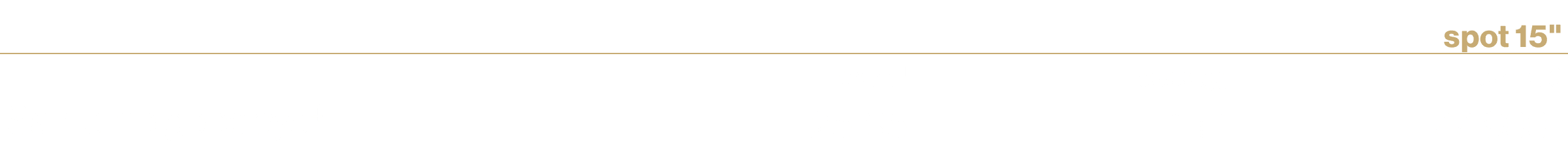 ,spot 15\“,,orario1,passaggi,tariffa €,Sanremo goodbye4,25.35,1+1,77.900