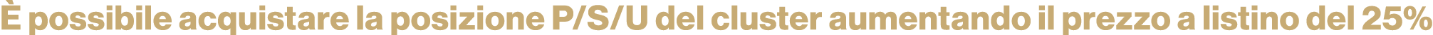  possibile acquistare la posizione P/S/U del cluster aumentando il prezzo a listino del 25%