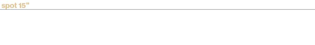 spot 15\“,tariffa netta €,,orario1,passaggi,,Sanremo Dopo Festival,25.25,1,5.775,00,Sanremo Dopo Festival B,26.00,1,3...