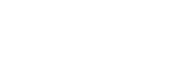 digital 20%