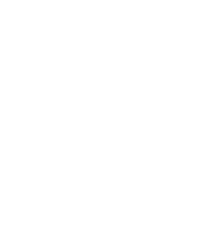 3 settimane 950.000 imps spot video multidevice 50% quota Rai* 40.000 tariffa netta € 42 cpm netto €