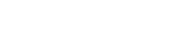 Il 2024  stato una delle migliori campagne di sempre, con una crescita significativa nel panorama rugbistico europeo