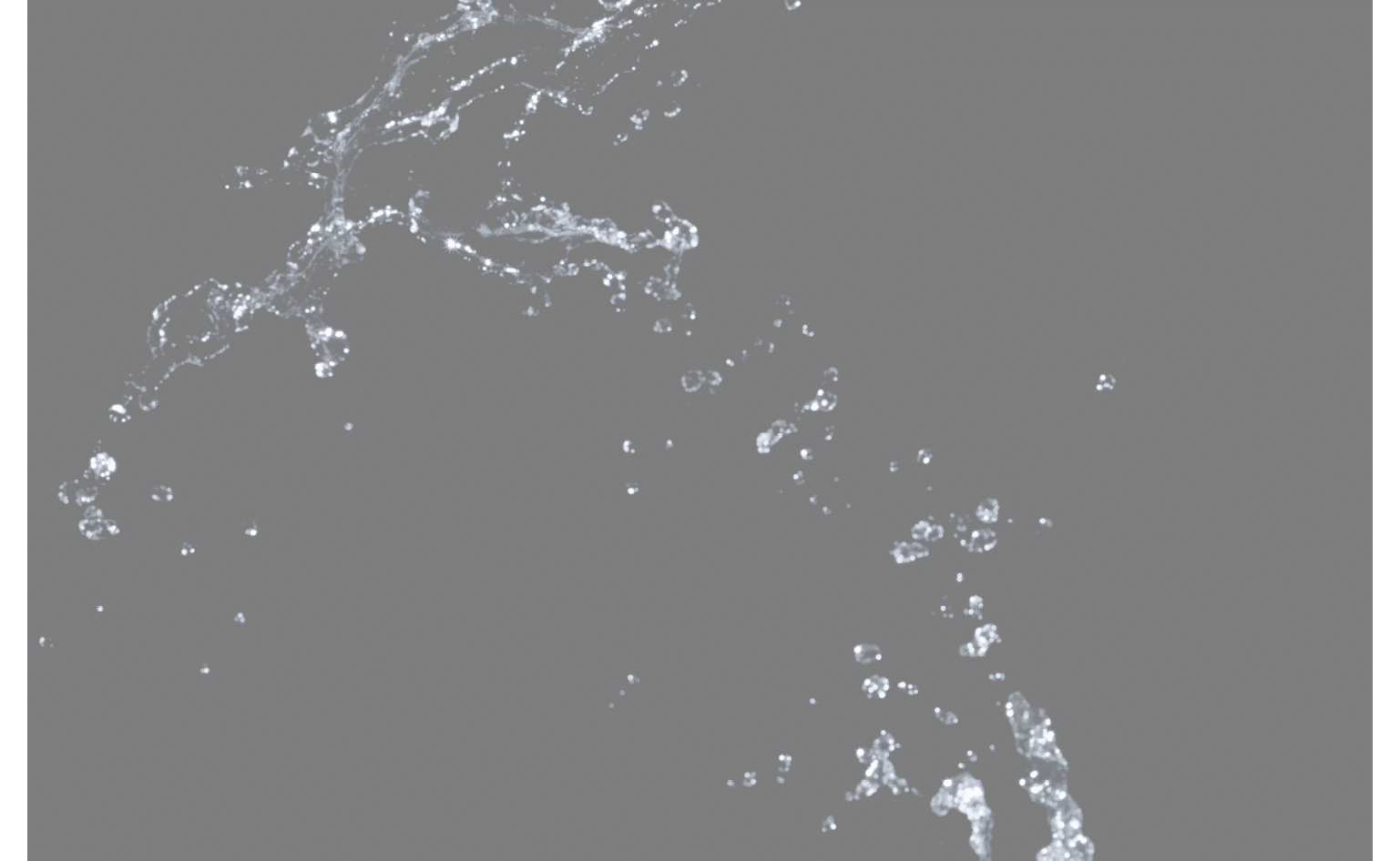 water splash. Isolated on black background