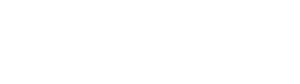ascolto medio digital device Rai 2 ,39.336 