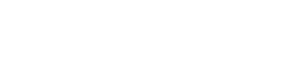 ascolto medio digital device Rai 1 | finale 19.11 ,134.648 