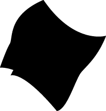 Polygon