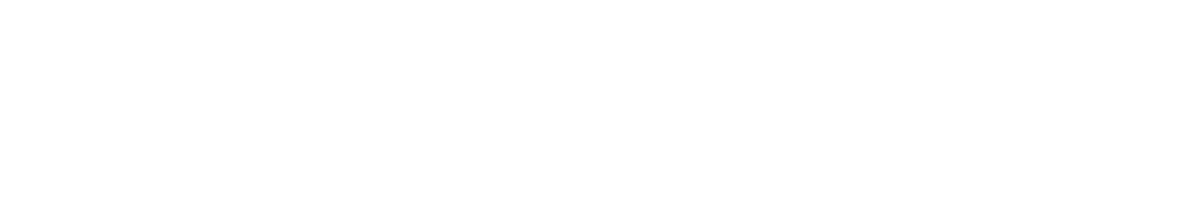 Studio, interviste da bordo campo e commenti pre e post partita