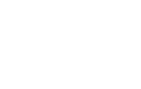 telecronaca e collegamenti a bordo campo per le interviste a protagonisti